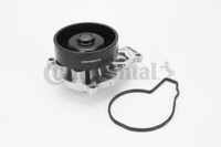 Continental Ctam WPS3079 Wasserpumpe FüR Bmw, Mini