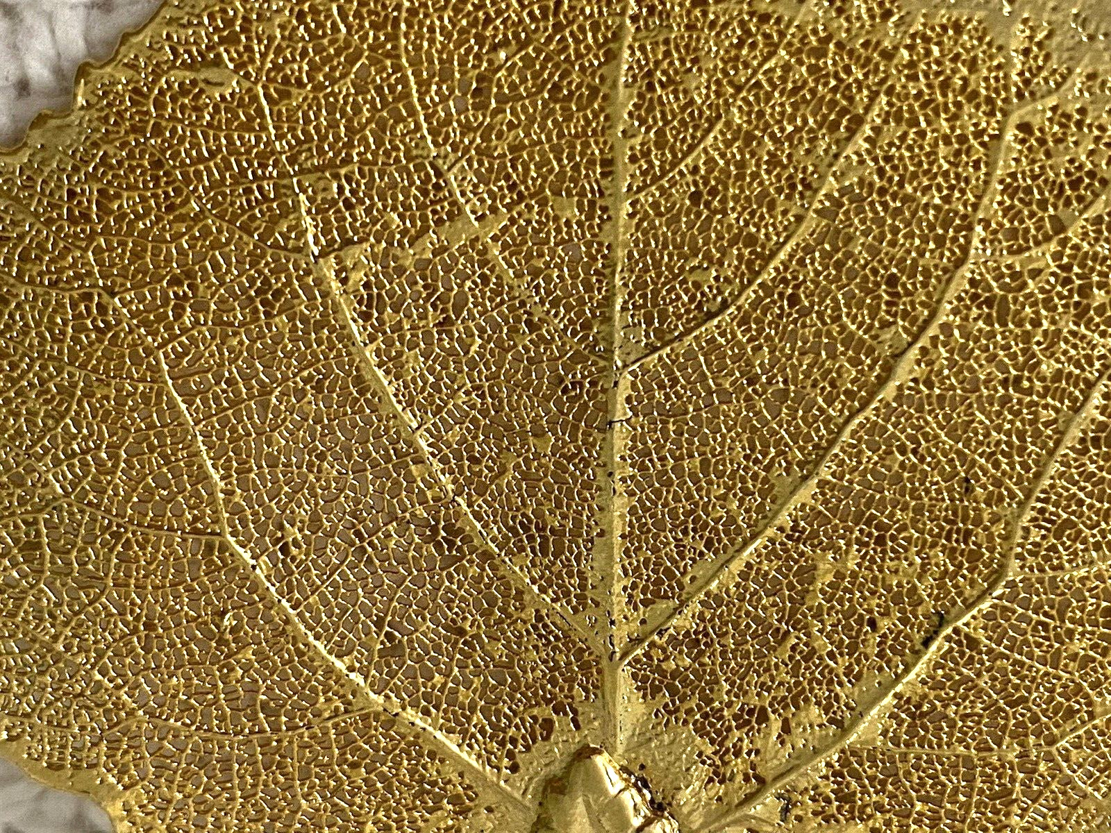 gold dipped leaf pendant, Reed  & Barton Necklace… - image 5