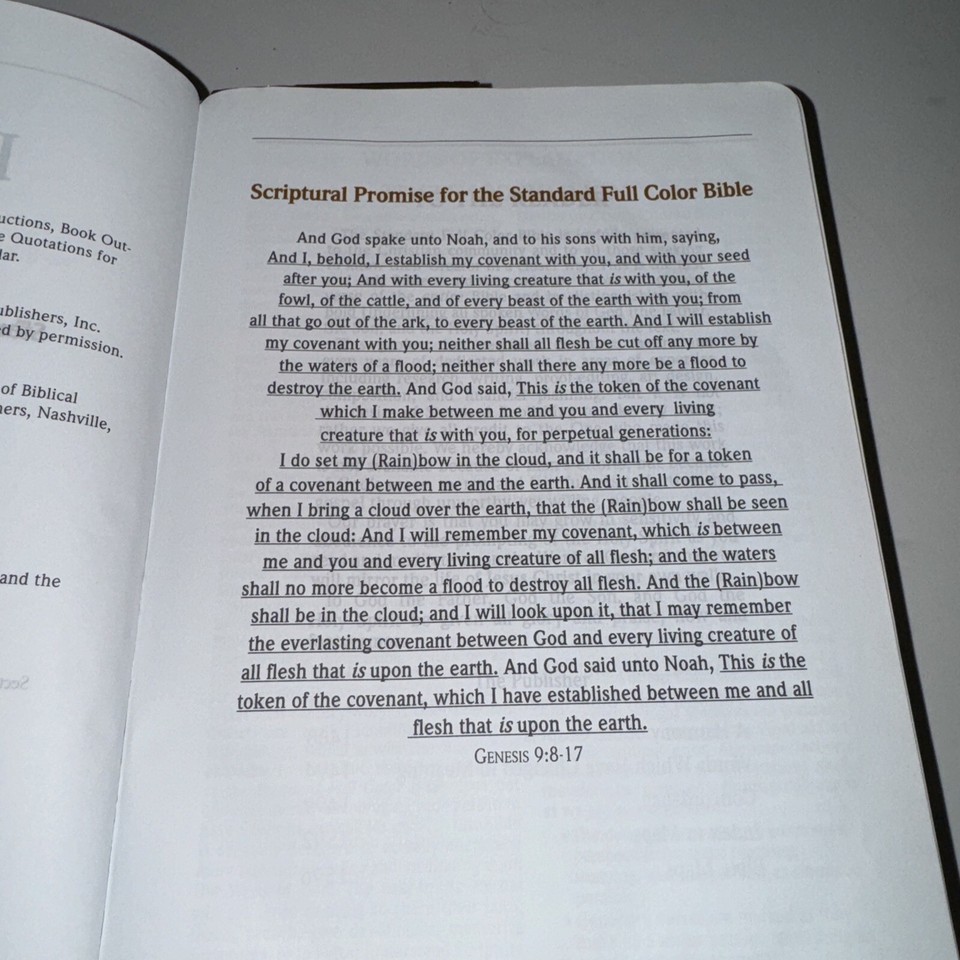 KJV Standard Full Color Bible Brown Bonded Leather Bold Line Edition