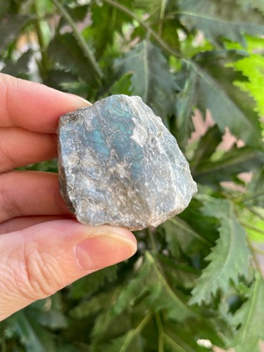 Labradorite Raw Natural Stone, 1.5"-2" Rough Labradorite, Wholesale Lot - Picture 1 of 12