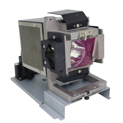 RLC-106 Replacement Lamp & Housing for Viewsonic