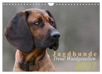 Calendar 2027 · US Version · Hunting Dogs - Faithful Hunting Companions (Wall Ca