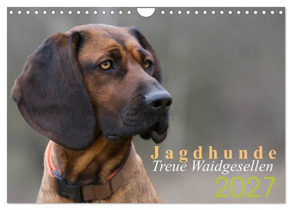 Calendar 2027 · US Version · Hunting Dogs - Faithful Hunting Companions (Wall Ca-image