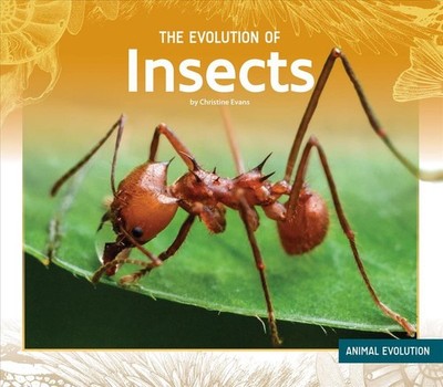 The Evolution of Insects by Christine Evans (English) Library Binding Book