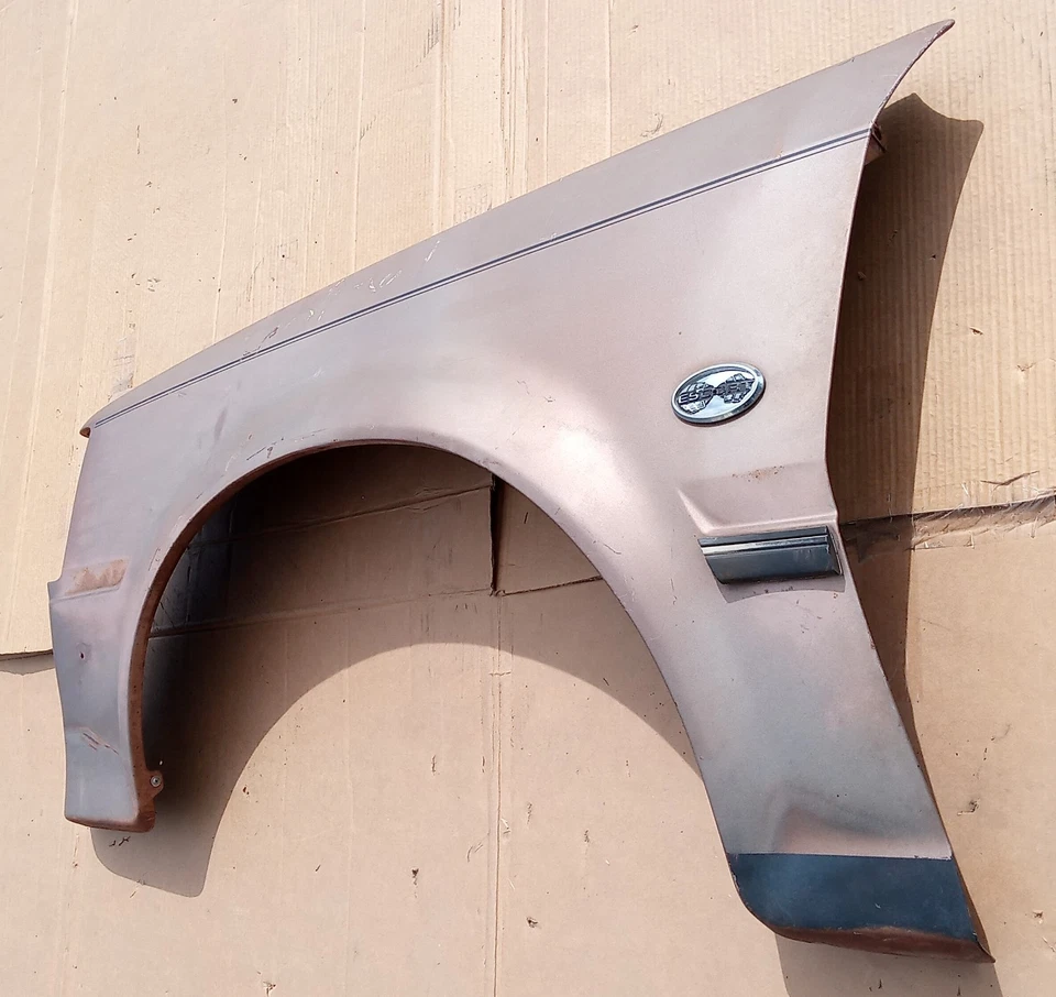 Guardabarros delantero Ford Escort 1981-1985 (lado del conductor) Foto 3 de 4