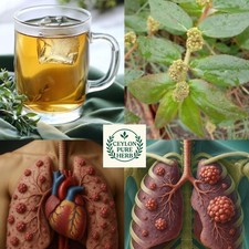 Organic Euphorbia Hirta Dried Asthma Plant Tea Herb Wildcrafted Ara