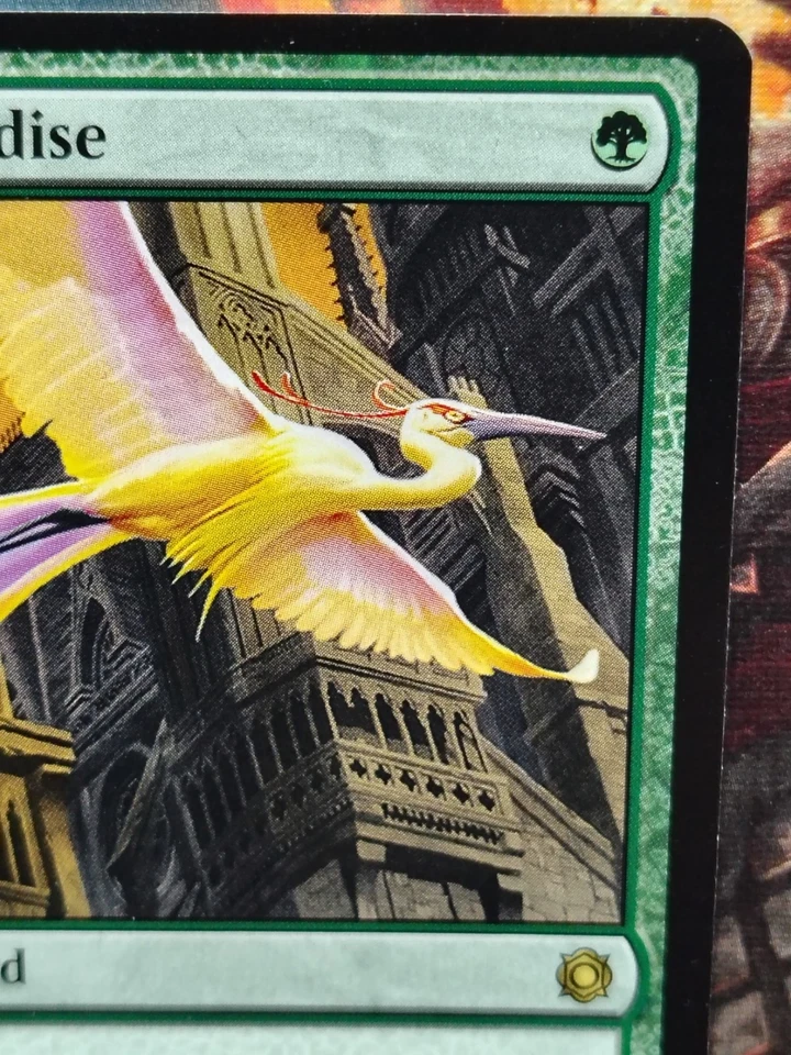 MTG Birds of Paradise - Conspiracy: Take the Crown 176/221. NM - Image 3 of 4