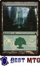 Magic The Gathering MTG Forest (2005) 303 Foil NM Magic Premiere Shop 2005