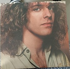 Peter Frampton   Where I Should Be SP-3710 A M 1979 USA Vinyl LP EX