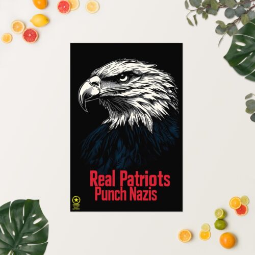 Abolish MAGA - Real Patriots Punch Nazis wall poster - Picture 23 of 24