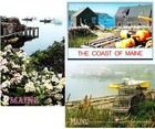 MAINE LOBSTER (3) Mint Continental Chrome Postcards Lot #12