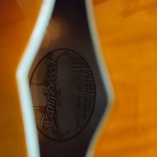 Tanglewood JZ503 Archtop Hollow Body electro acoustic guitar