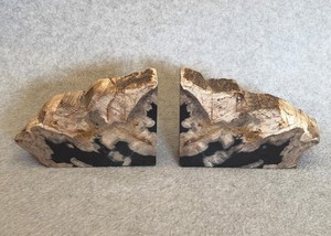 Vintage petrified wood bookends EX Front side polished Cy Johnson Susanville, CA