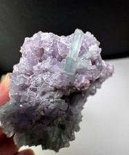 Blue Paraiba Tourmaline Crystals on lepidolite mineral specimen - 130g