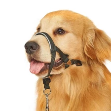 BARKLESS No-Pull Head Collar for Dogs - Padded Head Halter, All Sizes