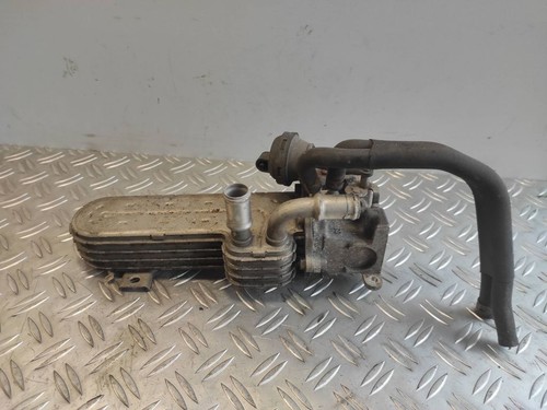 Volkswagen PASSAT B6 2006 AGR Kühler Abgaskühler 03G131513J RVP8905