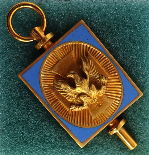 Blue Key Honor Society Stipendium Bruderschaft Depaul Universität Anstecknadel 27L555 - Bild 6 von 14
