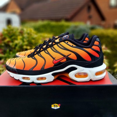 Baskets Nike Tn Air Max Plus OG Pimento Sunset Tiger taille UK 8,5