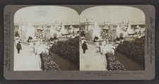 St. Louis Missouri 1904 World's Fair Education Building Fountains Stereo View