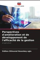Perspectives D'améLioration Et De DéVeloppement De L'efficacité De La Gestion