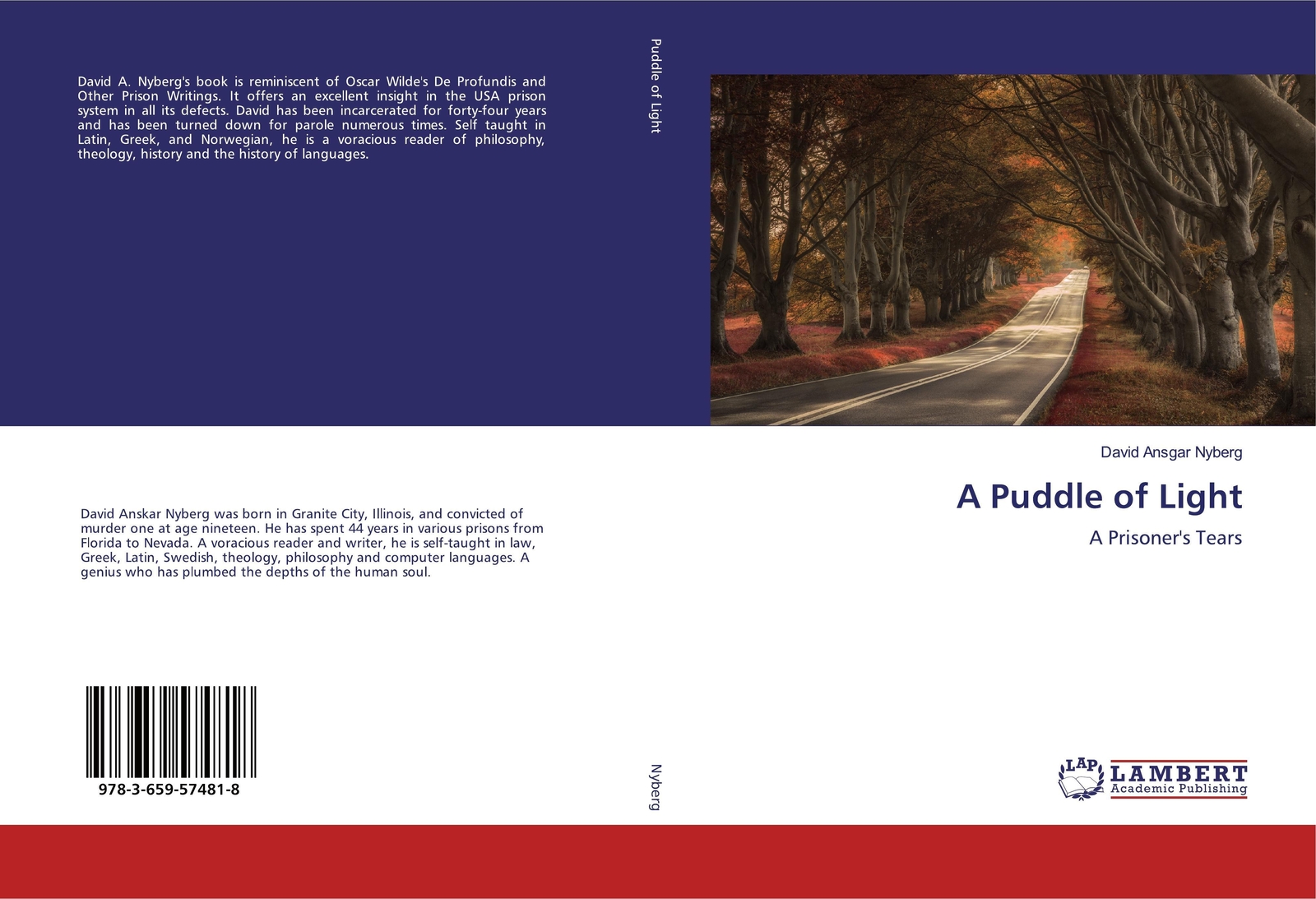 Thumbnail - A Puddle Of Light | A Prisoner's Tears | David Ansgar Nyberg |