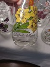 Complete Set of 12 Brokway Flower of the Month Drinking Glasses    VTG — photo 6