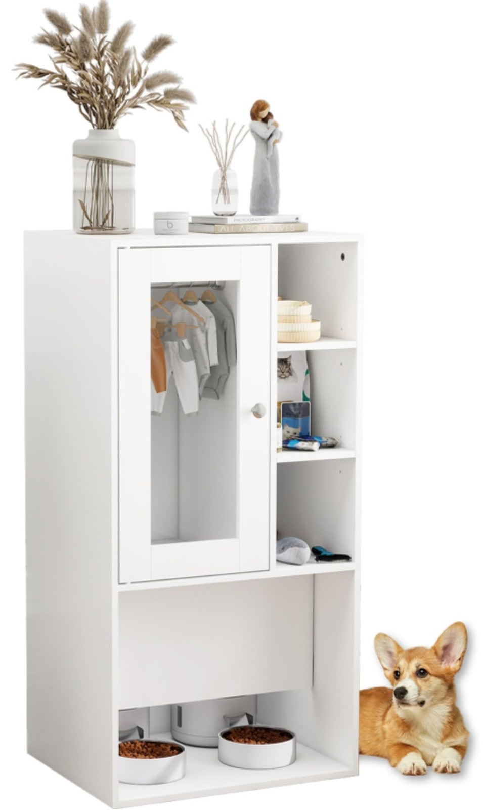 Storage Cabinet