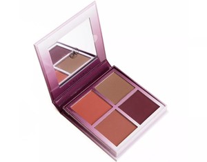 anastasia beverly hills blush kit