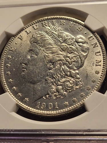 1901 S Morgan Silver Dollar, NGC Unc. details, cleaned     inv12    g294cc