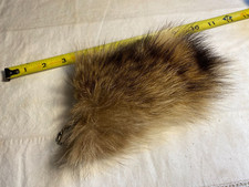 Tanned Raccoon Tail Fur Skin Pelt Taxidermy Hide Part