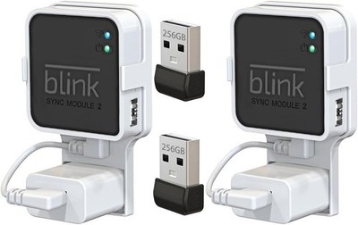 256GB Blink USB Flash Drive & Mount Kit - Ideal for Sync Module 2 Users