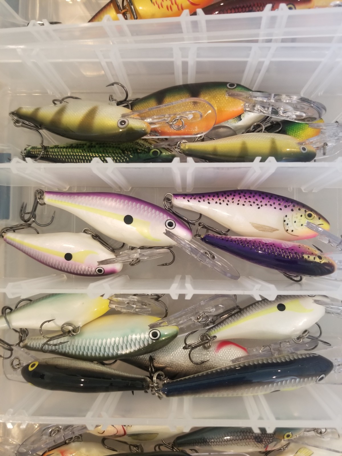 Huge Collection of Rapala Shad Rap Crankbaits - Best Sizes and Great Colors! - Image 8