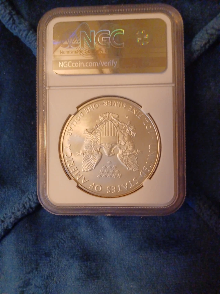 American Silver Eagle 2008-W bruñido Foto 2 de 4