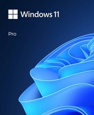 Microsoft Windows 11 Pro 64-Bit USB Flash Drive