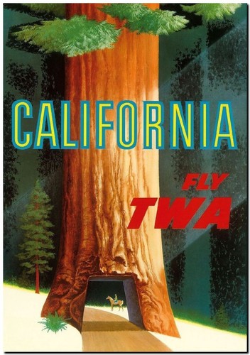 Vintage travel - *FRAMED* CANVAS PRINT California Giant trees 18x12"
