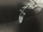 Manfred Von Brauchitsch Limited Edition Signed Jarrott’s Photo Poster. — photo 4