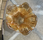 Foto 5 di 5