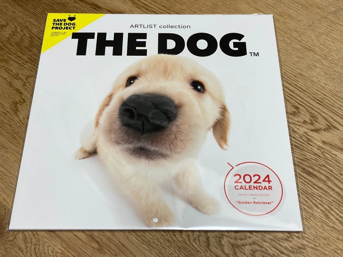 Goldens In Golden Colorado 2024 Olympics Netti Adriaens