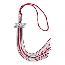 Endea Graduation Red/Light Blue/White Mixed Color Tassel with Silver Date Drop