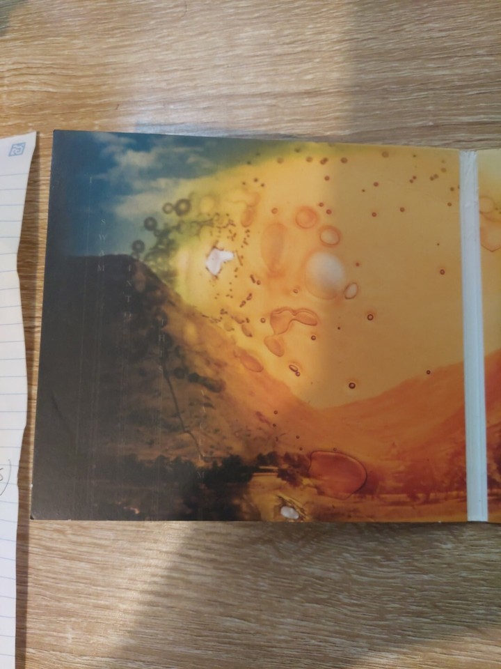 Beings by Lanterns on the Lake 5414939923319 eBay