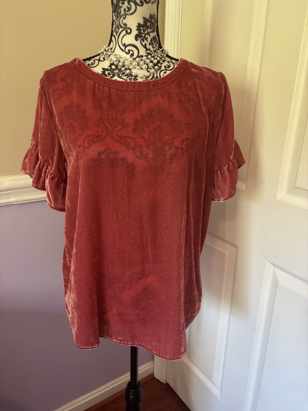 LOFT Women's Rose Velvet/Velour Short Ruffle Sleeve Top, Size M