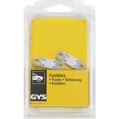 GYS 2 Sicherungen - 125 A - GYSFLASH 100.12 HF - Blister - 054585