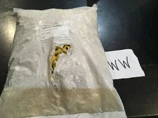 LOT OF 1000 Mueller Electric Co BU-191540028 12-10 VINYL INSULATED ECON-O-BUTT