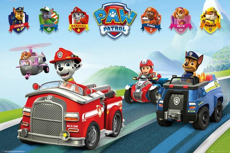 Paw Patrol : Vehicles - Maxi Poster 91.5cm x 61cm new and sealed