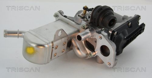 Triscan Agr-Ventil 8813 25013 FüR Renault-image
