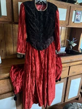 Western Horse Driving Riding Side Saddle Habit Outfit Georgian Red Black Velvet