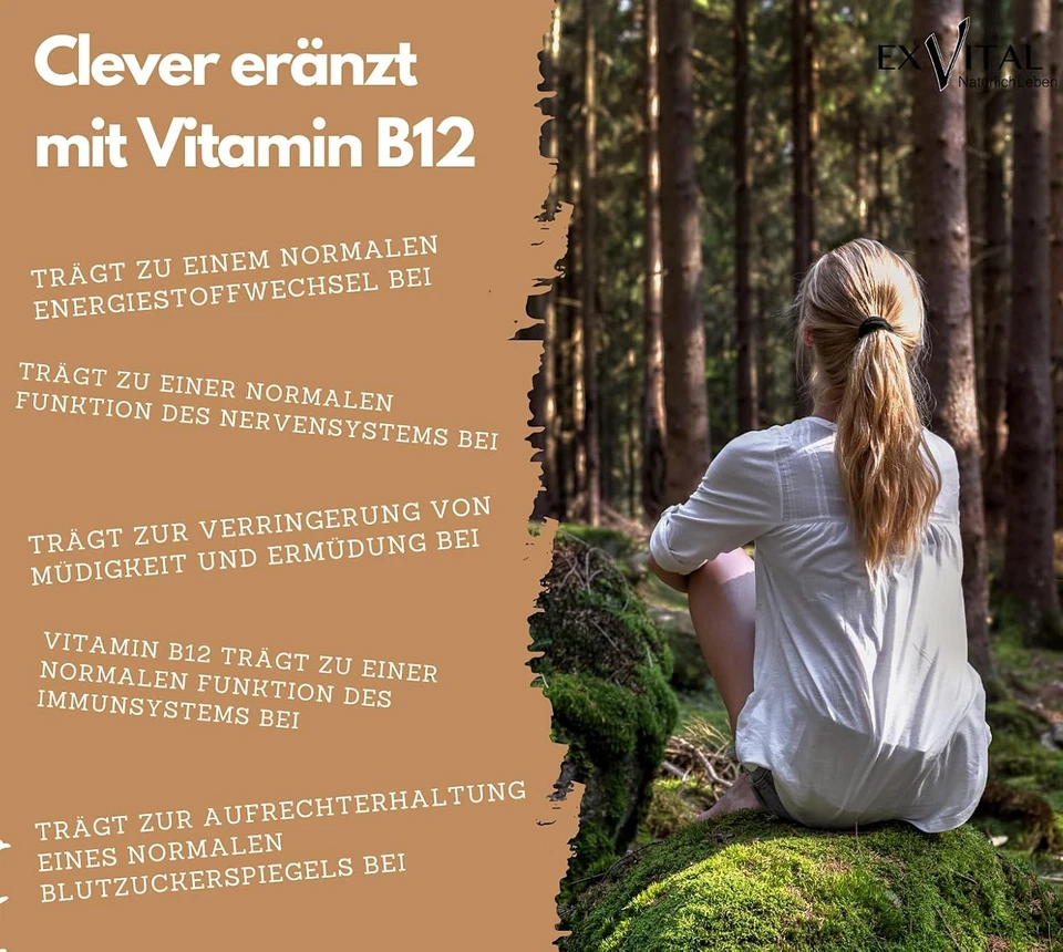 Vitalpilze Komplex- Hericium, Cordyceps, Reishi, Chaga, Shiitake & Maitake - Bild 4 von 4