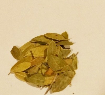 Uva Ursi Whole Leaves