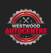 PROFESSIONAL CUSTOM LOGO DESIGN FOR BUSINESS + UNLIMITED REVISION