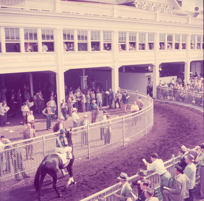 Kentucky Derby 1954 pic 2 Vintage Old Photo 8.5 x 11 Reprints